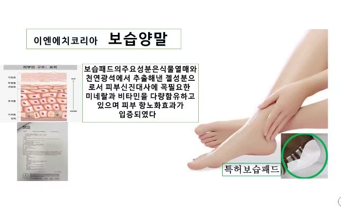 양.jpg